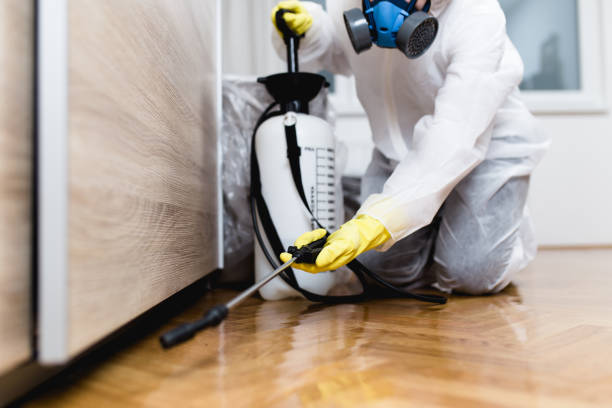 Best Best Pest Control Companies  in Soulsbyville, CA