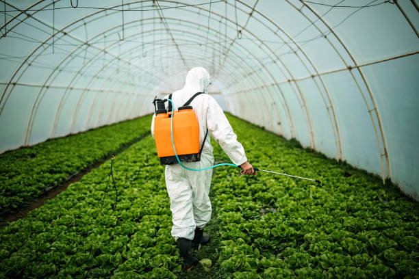Best Local Pest Control Services  in Soulsbyville, CA