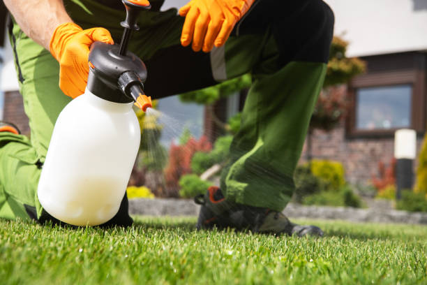 Best Affordable Pest Control Services  in Soulsbyville, CA