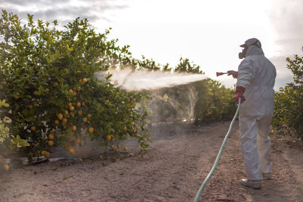 Best Bird Control  in Soulsbyville, CA