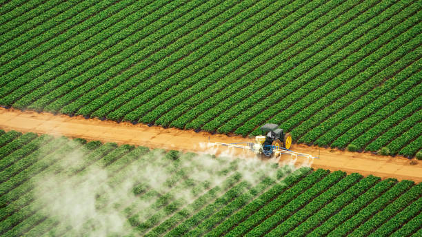 Best Local Pest Control Services  in Soulsbyville, CA