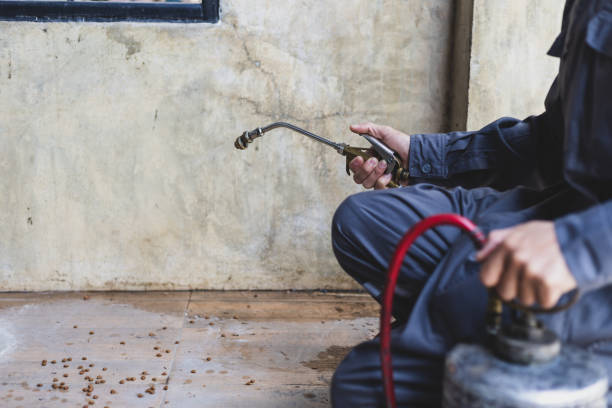 Best Emergency Pest Control  in Soulsbyville, CA